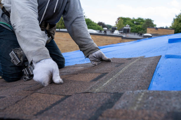 Best Roof Gutter Cleaning  in Lumberton, NC